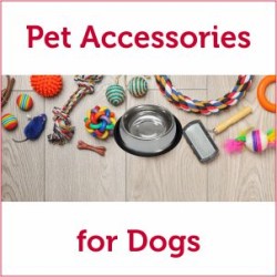 Pet Accessories For Dogs