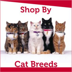 By Cat Breed