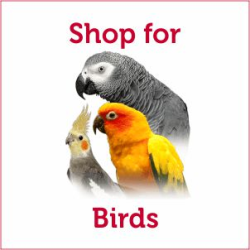 Shop for Birds