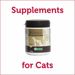 Supplements for Cats