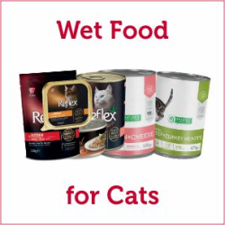 Wet or Can Food for Cats