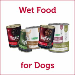 Wet or Canned Food for Dogs