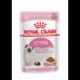 Pedigree Mother and Pup Starter 10 kg red